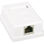 HCT-200 (FD-6165B), ������� 8P8C (RJ45) ������������ ��������� �������������� 5cat