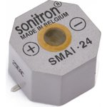SMAI-24-P15, 24 ,   