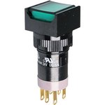 P16LMS2-1abKG, ������ � LED ���������� 250�/5�