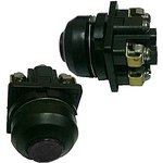 ��081 ���.2 (������)