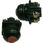 ��081 ���.5 (�������)