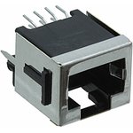 100616-1, ������� 8P8C (RJ45) �� ����� ��������������