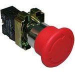 NP2-BS545, ������ "������" ������� � ��������� ��/��