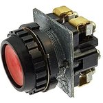 ��181 ���.1 (�������)