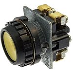 ��181 ���.1 (������)