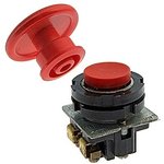 ��041 ���.5 (�������)