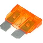 F133 5�, ������������������