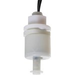 RSF54Y100RE ������ ������ ��������,0.6�/240VAC