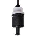 RSF53Y100RE ������ ������ ��������,0.6�/240VAC