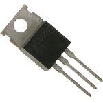 ��202�1, �������� ������������