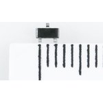 BAS16, ���� ����������