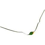 2�102�, ���� ���������� ��������������