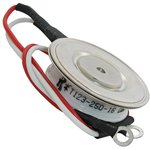 �123-250-16 (������)