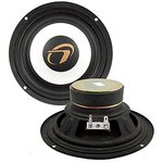 FR-0040 4ohm 20W
