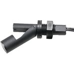 RSF84Y100R, ������ ������ �������� 0.6A/240VAC